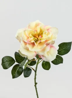 24.5in Long Pink & Cream Provence Rose Spray, Case of 12
