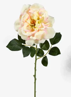 24.5in Long Pink & Cream Provence Rose Spray, Case of 12