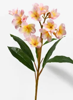 35in Long Pink Frangipani Spray, Case of 6