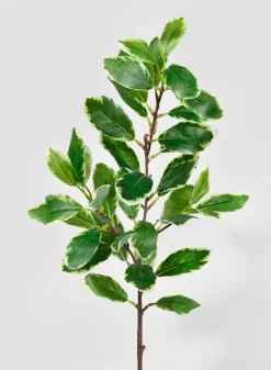 32in Long Pittosporum Leaf Spray, Case of 12
