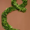 72in Long Preserved Boxwood Garland