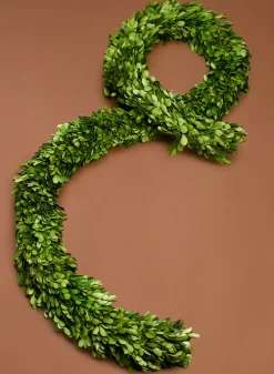 72in Long Preserved Boxwood Garland