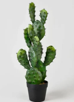 27in Long Prickly Pear Cactus
