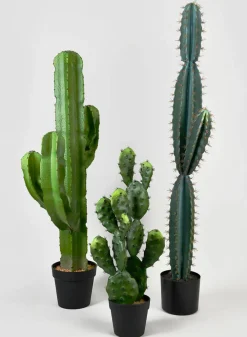27in Long Prickly Pear Cactus