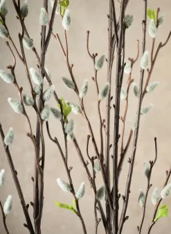 52in Long Pussy Willow Branch, Case of 12