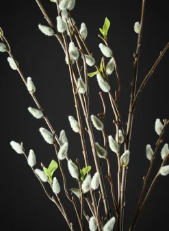 52in Long Pussy Willow Branch, Case of 12