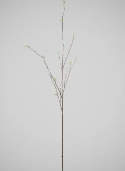 52in Long Pussy Willow Branch, Case of 12