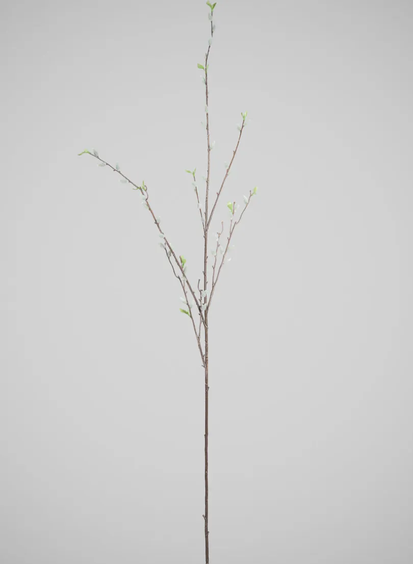 52in Long Pussy Willow Branch, Case of 12