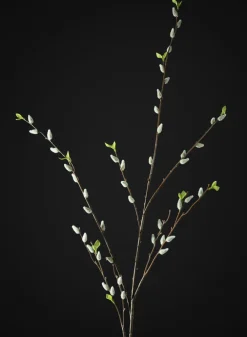 52in Long Pussy Willow Branch, Case of 12