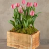 10in Long Raw Wood Deep Flower Box