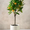 28in Long Real Touch Clementine Tree In a White Pot