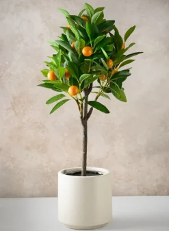 28in Long Real Touch Clementine Tree In a White Pot