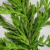 75in Long Real Touch Fir/Norfolk Pine Garland