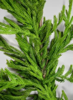 75in Long Real Touch Fir/Norfolk Pine Garland