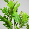 38in Long Real Touch Oak Leaf And Acorns Pick, Case of 6