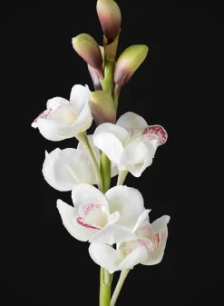 23in Long Real Touch Real Look Cymbidium Orchid Stem in White, Case of 12