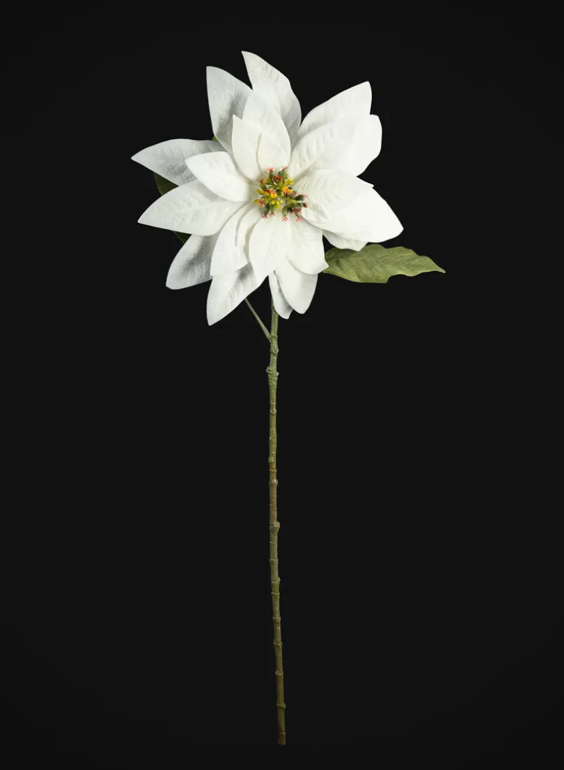 29in Long Real Touch Real Look White Poinsettia Stem, Case of 12