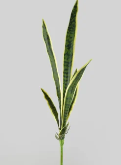 30in Long Real Touch Sansevieria Stem Pick, Case of 12