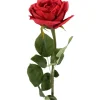 27in Long Red Cabbage Rose, Case of 12