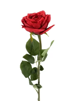27in Long Red Cabbage Rose, Case of 12