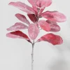 14in Long Red Lamb's Ear Spray, Case of 12