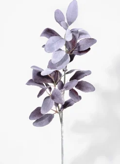 23in Long Red Leaf Sage, Case of 12