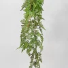 44in Long Rooted Rainforest Fern Hanging, Case of 12