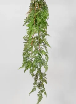 44in Long Rooted Rainforest Fern Hanging, Case of 12