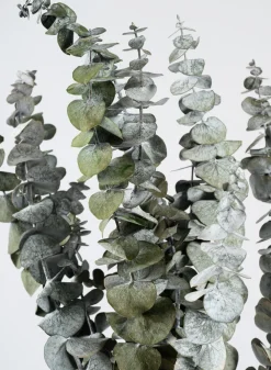 20in Long Silvery-Green Dried Eucalyptus Bunch