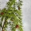 47in Long Single Pinecone Stem