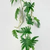 41in Long Small Philodendron Leaf Vine, Case of 12