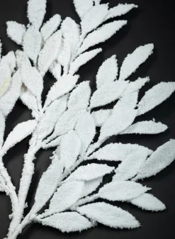 29in Long Snow Flocked Bay Leaf Spray, Case of 12