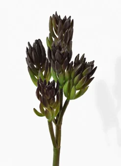 14in Long Soft Succulent Pick, Case of 24
