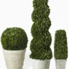 51in Long Spiral Boxwood Topiary in Pot