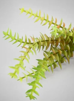 8in Long String of Buttons Succulent Pick, Case of 12