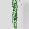 35in Long String Of Pearls Pick Senecio, Case of 12