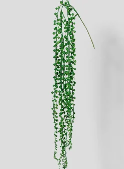 35in Long String Of Pearls Pick Senecio, Case of 12
