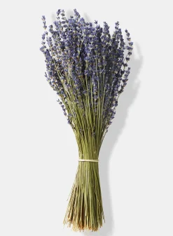 15in Long Super Blue French Lavender Bunch