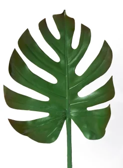 29in Long Turtle Leaf Spray, Case of 12