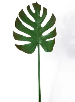 29in Long Turtle Leaf Spray, Case of 12