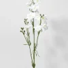 33in Long White Bouquet Larkspur Spray, Case of 12