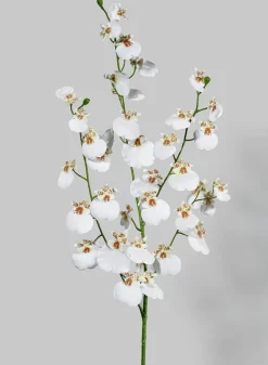 36in Long White Dancing Orchid Spray, Case of 12