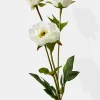 25.5in Long White Princess Peony, Case of 12