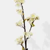 30in Long White Quince Spray, Case of 12