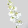 35in Long White & Yellow Phalaenopsis, Case of 12