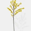 43in Long Winter Jasmine, Case of 6