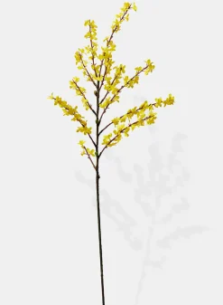 43in Long Winter Jasmine, Case of 6