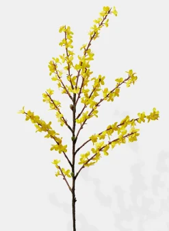 43in Long Winter Jasmine, Case of 6