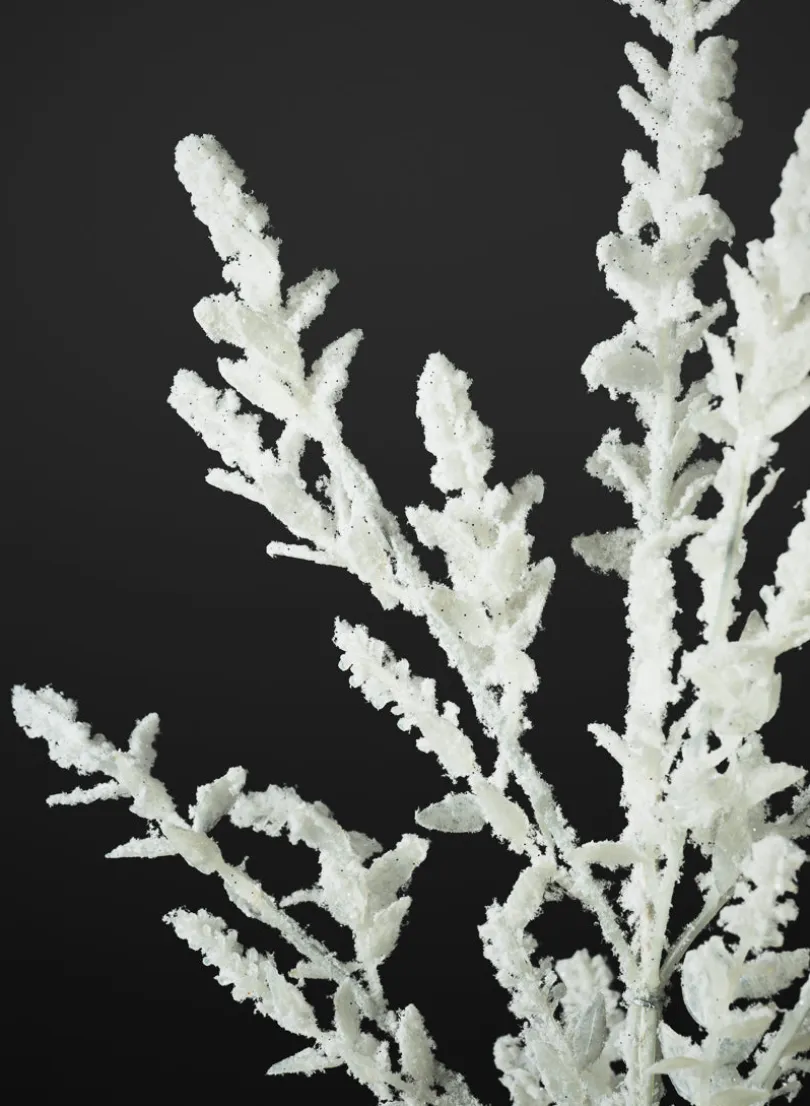 24in Long Winter Snow Look Alpine Mix Pick, Case of 12