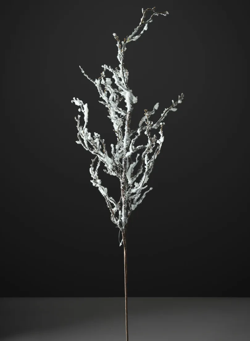 31in Long Winter Twig Branch with Snow, Case of 12